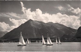 SUISSE SEGELSPORT AUF DEM THUNERSEE NIESEN VOILIER - Port