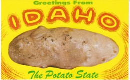 Greetings From Idaho The Potato State, Vegetable, C1960s Vintage Postcard - Sonstige & Ohne Zuordnung