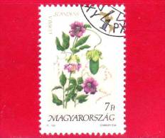 UNGHERIA - MAGYAR - 1991 - Flora D'America  - Fiori - Flowers - Cobabaea Scandens - 7 - Usati