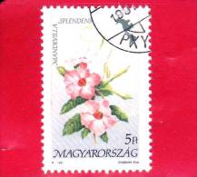 UNGHERIA - MAGYAR - 1991 - Flora D'America  - Fiori - Flowers - Mandevilla Splendens - 5 - Used Stamps