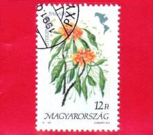 UNGHERIA - MAGYAR - 1991 - Flora D'America  - Fiori - Flowers - Steriphoma Paradoxa - 12 - Usati