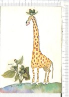 La GIRAFE  à La  BARDANE   -  D Aprés   Aquarelle - Giraffes