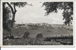 SUISSE - ROMONT Vu De Mézières - Romont