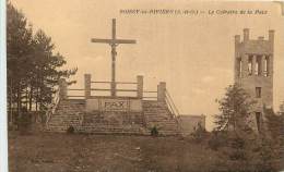 BOISSY LA RIVIERE       CALVAIRE DE LA PAIX - Boissy-la-Rivière