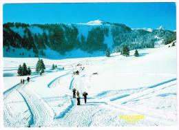 G2966 Flumserberge - Wanderweg Und Langlaufloipe Madlis / Viaggiata 1995 - Flums