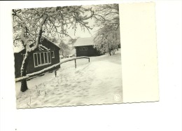 Oteppe Hirondelle Poésie Hivernale Winterpoesie - Burdinne