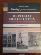 Pavia E La Sua Provincia   IL VOLTO DELLE CITTA´  FRANCESCO OGLIARI EDIZIONI SELECTA (PAVIA) - Libros Antiguos Y De Colección