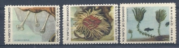 131008138  CUBA  YVERT  Nº  794/799/804  **/MNH - Neufs