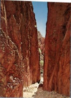 (5260 Australia - NT - Standley Chasm - Alice Springs