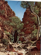 (5260 Australia - NT - Standley Chasm - Alice Springs