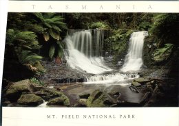 (5260 Autralia - TAS - Mt Field Waterfall - Wilderness