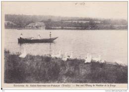 89. Yonne : Saint Sauveur En Puisaye : Vue Sur L ´ étang De Moutier Et La Forge  . - Saint Sauveur En Puisaye