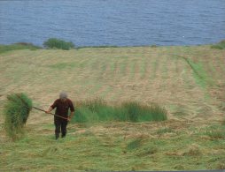 (518) Ireland - Co Donegal - Farming - Donegal