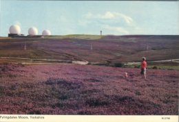 (111) UK - Yorkshire - Flylingdales Moors - Astronomia