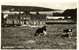 Jeugdherberg 't Heemet Vaals - & Cow - Vaals