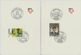 =LIECHTENSTEIN SST*2 1988 - Frankeermachines (EMA)