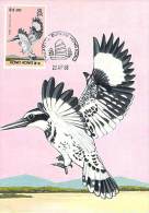 HONG-KONG CARTE MAXIMUM NUM. YVERT 531 FAUNE OISEAU PROTECTION DE LA NATURE - Maximumkarten