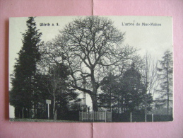 CP WORTH L ARBRE DE MAC MAHON - Woerth