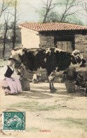 LAITIERE MACONNAISE LA TRAITE D'UNE VACHE METIER AGRICULTUR FERME 71 SAONE-ET-LOIRE - Fermes