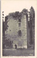 VIGNORY - Le Donjon Du Vieux Château - Vignory