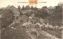12 - SAINT SAUVEUR EN PUISAYE - LE PETIT MOULIN - Saint Sauveur En Puisaye