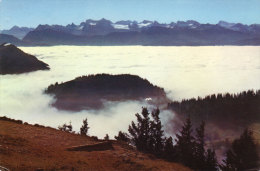 Blick Vom Rigi Auf Nebelmeer - Elm