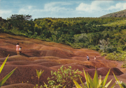 ILE MAURICE,MAURITIUS,archipel Des Mascareignes,océan Indien,ile Volcanique,CHAMAREL,terre Rouge,lave - Other & Unclassified