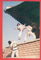 135873 / International Taekwon-Do Federation (ITF) Taekwondo Organization Founded Mar. 22, 1966, By General Choi Hong Hi - Kampfsport