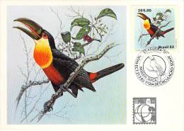 BRESIL CARTE MAXIMUM NUM.YVERT 1601 FAUNE OISEAU TOUCAN - Maximum Cards