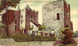 Ruine Van Brederode - Bloemendaal