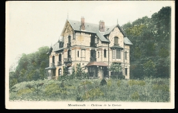 95  MONTSOULT  / Château De La Cerisée   /  BELLE CARTE COULEUR - Montsoult