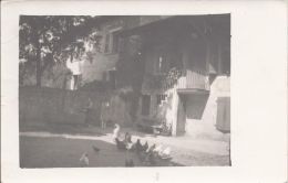 8552 - Maison à Cartigny En 1926  Les Oies Et Poules Carte Photo - Cartigny