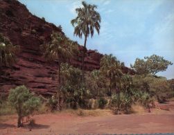 (836) Australia - NT - Palm Valley - The Red Centre