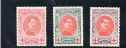 BELGIQUE 1914-5 * - 1914-1915 Red Cross