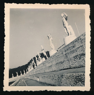 Photo Originale (Décembre 1954) : ROME, Stade Mussolini, Foro Italico, Les Statues (Italie) - Stadia & Sportstructuren