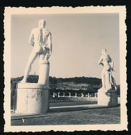Photo Originale (Décembre 1954) : ROME, Stade Mussolini, Foro Italico, Les Statues (Italie) - Stadia & Sportstructuren