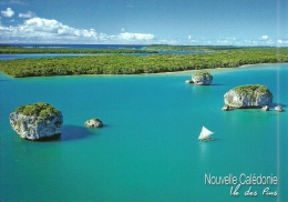 Nouvelle Calédonie - New Caledonia Entier Postal Stationery 2010 Neuf TTB Unused PERFECT Postcard Carte Postale PAP - Postal Stationery