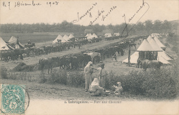 LABRUGUIERE - Parc Aux Chevaux - Labruguière