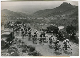 FOTOGRAFIA ORIGINALE TOUR DE FRANCE TAPPA BEZIERS NIMES MONTEE ARBORAS ANNO 1953 CICLISMO - Ciclismo