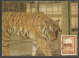 Macau Année Lunaire Du Tigre Carte Maximum 1986 Macao Lunar Year Of The Tiger Maxicard - Maximum Cards