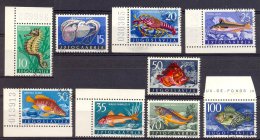 MR849 FAUNA VISSEN ZEEPAARD OCTOPUS KREEFT LOBSTER SEAHORSE FISH FISCHE POISSONS MARINE LIFE JUGOSLAVIJA 1956 Geb/used - Used Stamps