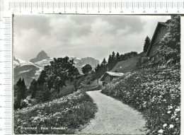 BRAUNWALD  - Belm Kaffeestubli - Braunwald