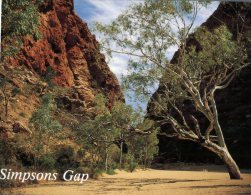 (113) Australia - NT - Simpson Gap - Alice Springs