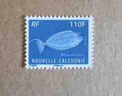 NOUVELLE CALEDONIE FRANCE 2013 NEUF FAUNE POISSONS FRENCH NEW CALEDONIA MNH FISH FAUNA - Unused Stamps