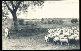 95 MONTSOULT / Vue Générale Prise Des Prairies / - Montsoult