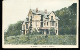 95 MONTSOULT / Le Château De La Ceriseraie / BELLE CARTE COULEUR - Montsoult