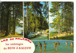 LAC DE PALADRU - CHARAVINES - Le Bois D'Amour - Paladru