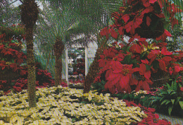 Interior View Of Conservatory Bellingrath Gardens Theodore Near Mobile Alabama - Mobile