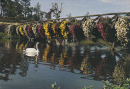 Rustic Bridge Over Mirror Lake Bellingrath Home Bellingrath Gardens Theodore Near Mobile Alabama - Mobile