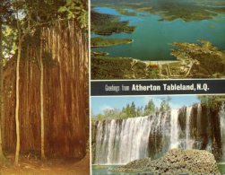 (100) Australia - QLD - Atherton Tableland - Atherton Tablelands